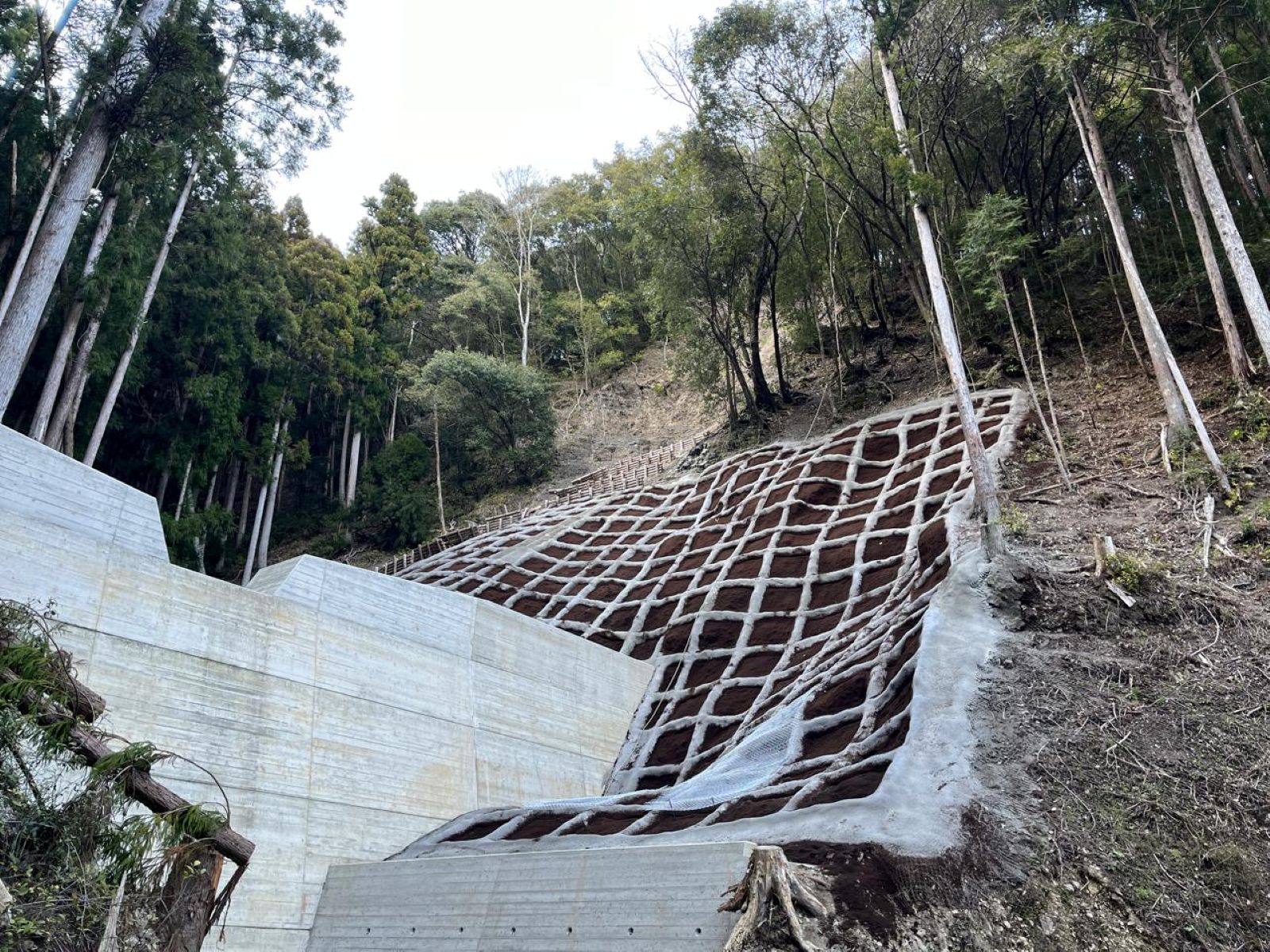 県土防災対策治山事業